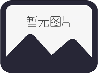 國(guó)內(nèi)拉力試驗(yàn)機(jī)發(fā)展及現(xiàn)狀